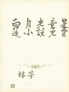 白月光竟是黑心莲小说免费阅读