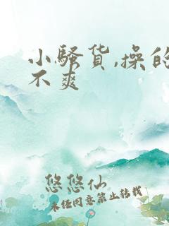 小骚货,操的爽不爽