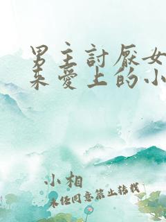 男主讨厌女主后来爱上的小说