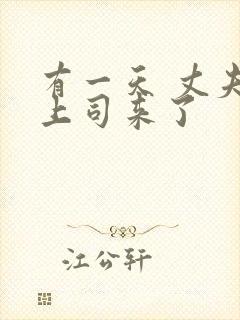 有一天 丈夫的上司来了