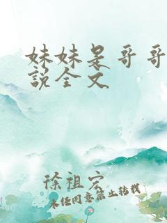 妹妹是哥哥的小说全文