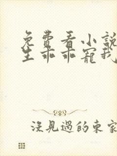 免费看小说霍先生乖乖宠我