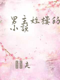 男主姓楼的总裁小说