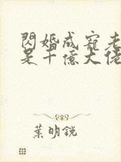 闪婚成宠老公竟是千亿大佬下载