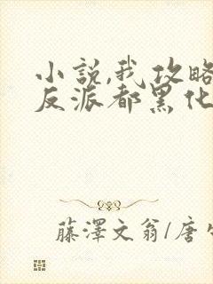 小说,我攻略的反派都黑化了