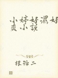 小婷好湿好紧太爽小说