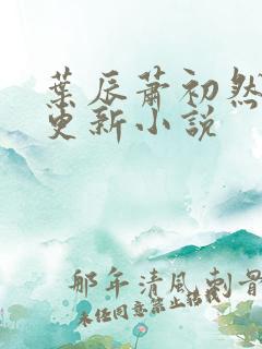 叶辰萧初然免费更新小说