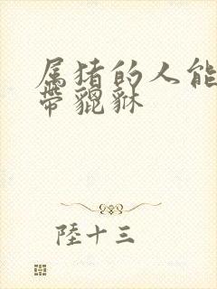 属猪的人能不能带貔貅