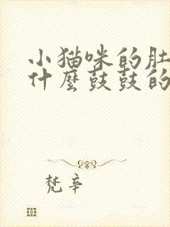 小猫咪的肚子为什么鼓鼓的