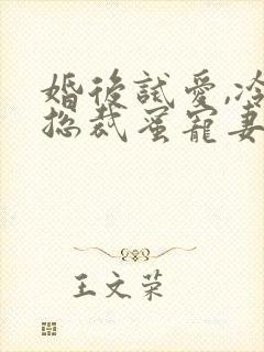 婚后试爱,冷面总裁蜜宠妻