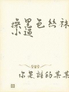 操黑色丝袜欧美小逼