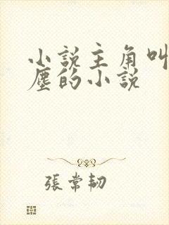 小说主角叫李沐尘的小说