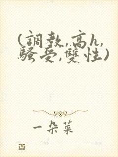 (调教,高h,骚受,双性)