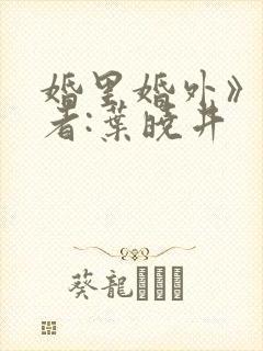 婚里婚外》 作者:叶晓井