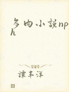 多肉小说np高h