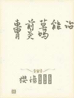 车前草能治慢性胃炎吗