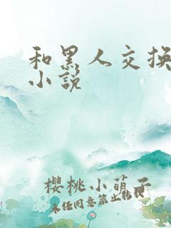 和黑人交换女友小说