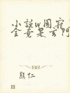 小说w团宠真千金竟是玄门大佬》