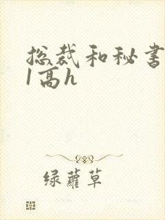 总裁和秘书1v1高h