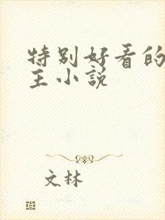 特别好看的双男主小说