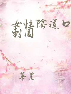 女性阴道口有肉刺图