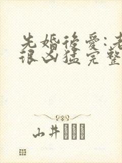 先婚后爱:老公很凶猛完整版免费阅读