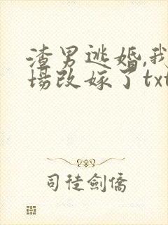 渣男逃婚,我当场改嫁了txt小说下载