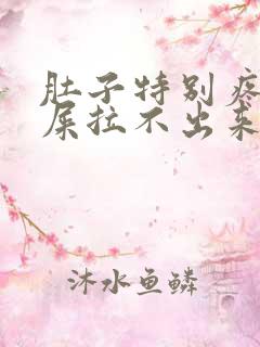 肚子特别疼想拉屎拉不出来