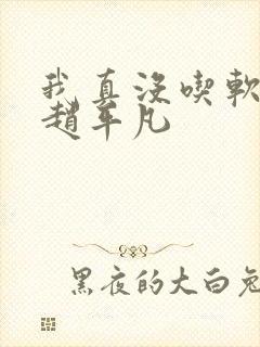 我真没吃软饭 赵平凡