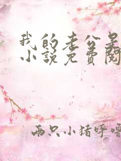 我的老公是冥王小说免费阅读