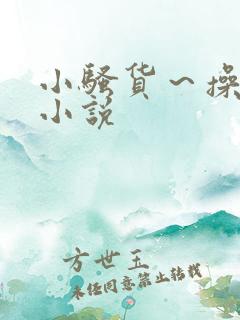 小骚货～操死你小说