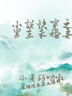 小说快穿之我是男主未婚妻txt下载