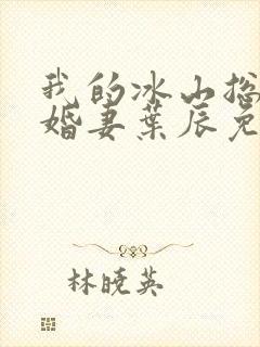 我的冰山总裁未婚妻叶辰免费阅读