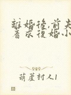 离婚后,前夫哭着求复婚小说全文阅读免费