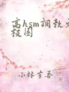 高hsm调教文校园
