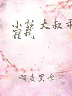 小说 大叔乖乖宠我