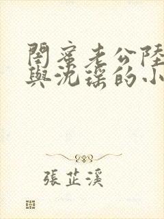 闺蜜老公陆晋元与沈瑶的小说