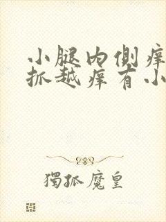 小腿内侧痒痒越抓越痒有小红疙瘩