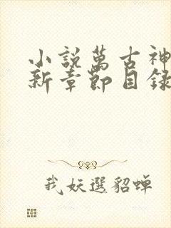 小说万古神帝最新章节目录