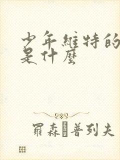 少年维特的烦恼是什么