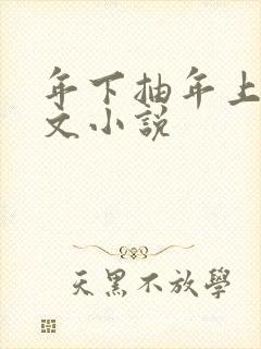 年下抽年上训诫文小说