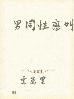 男同性恋叫什么