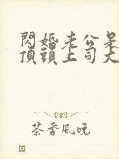 闪婚老公是我的顶头上司大结局