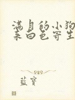 满月的小狗吐出来白色寄生虫