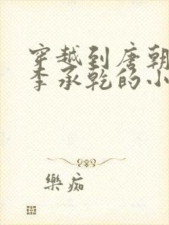 穿越到唐朝成为李承乾的小说