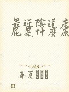 最近阴道老是放屁是什么原因