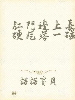 肛门边上长了个硬疙瘩一碰就疼