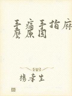 手痛手指麻木什么原因