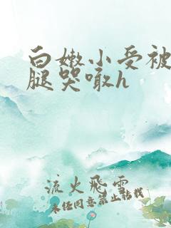 白嫩小受被强分腿哭喊h