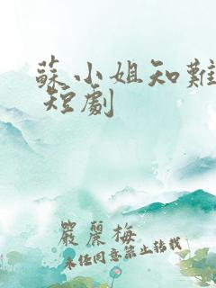 苏小姐知难而进 短剧